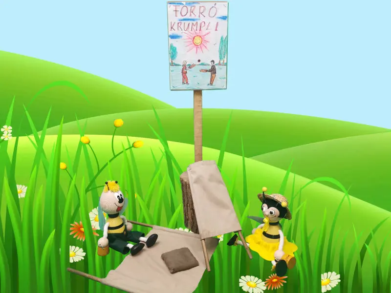 Forrkrumpli 2000x1500 800x600 1